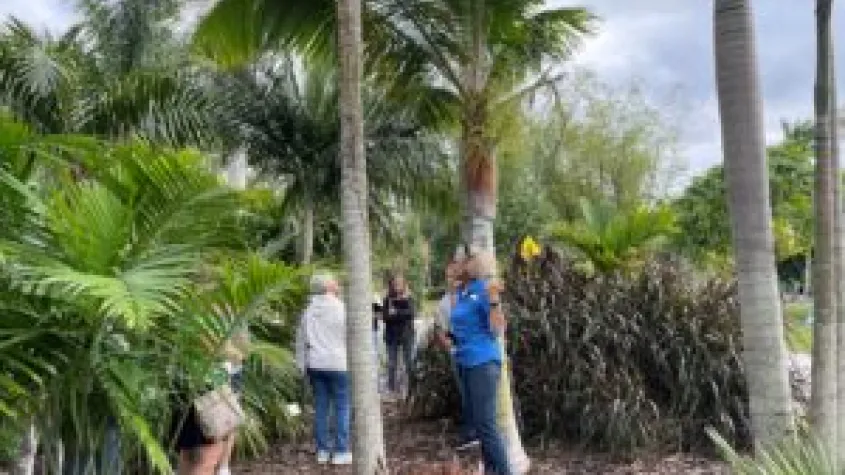 horticulturists lead garden tour at Edison and Ford Winter Estates