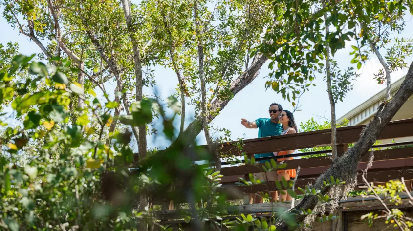 Couple bird watching at ding darling