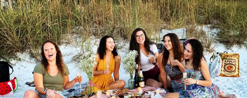 Women Group Beach Drink Wine Picnic