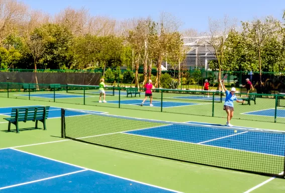 Pickleball Court Sport Fitness